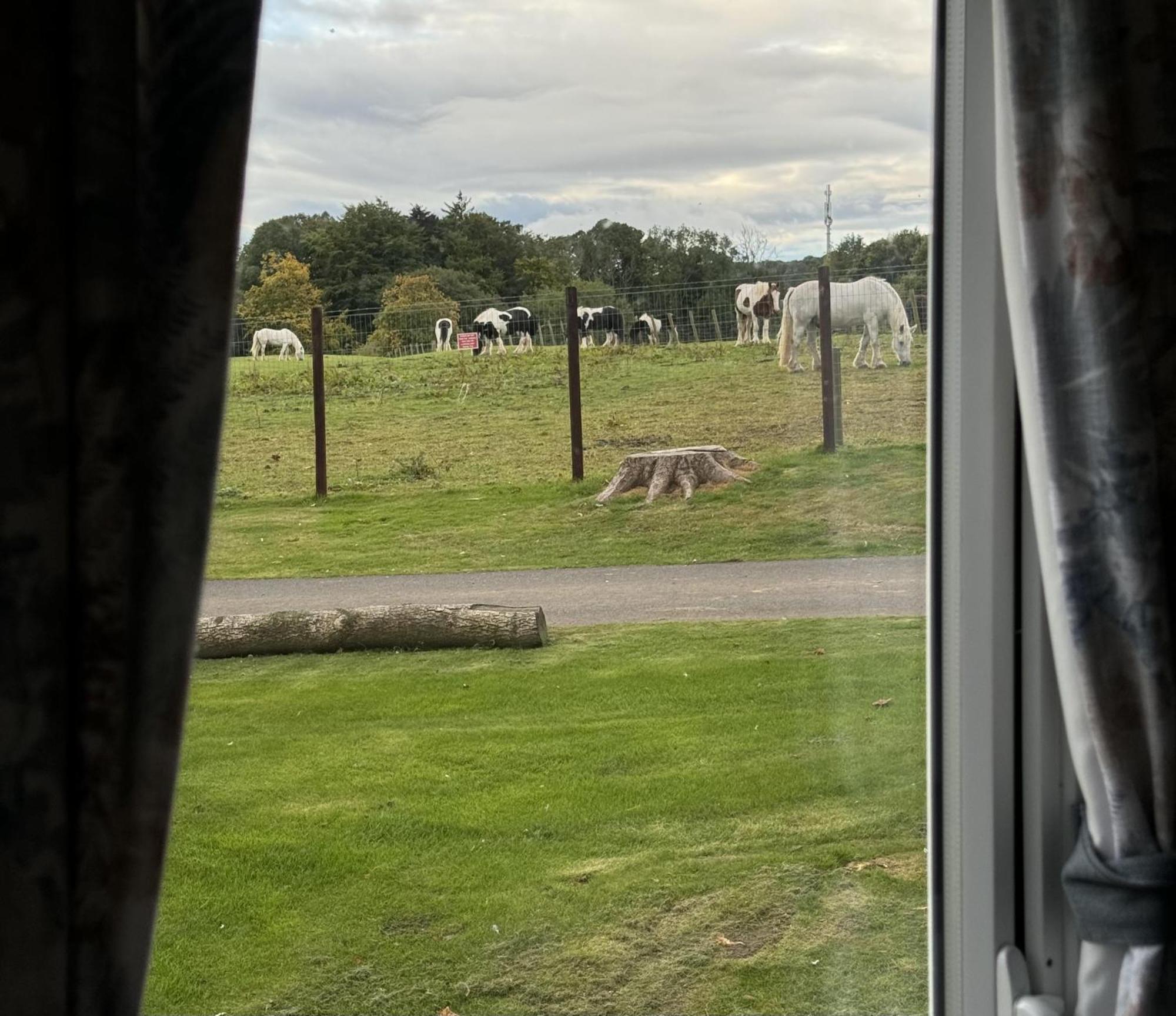 Pony Gate Caravan On Haggerstone Castle West Lawn Berwick Upon Tweed Eksteriør billede